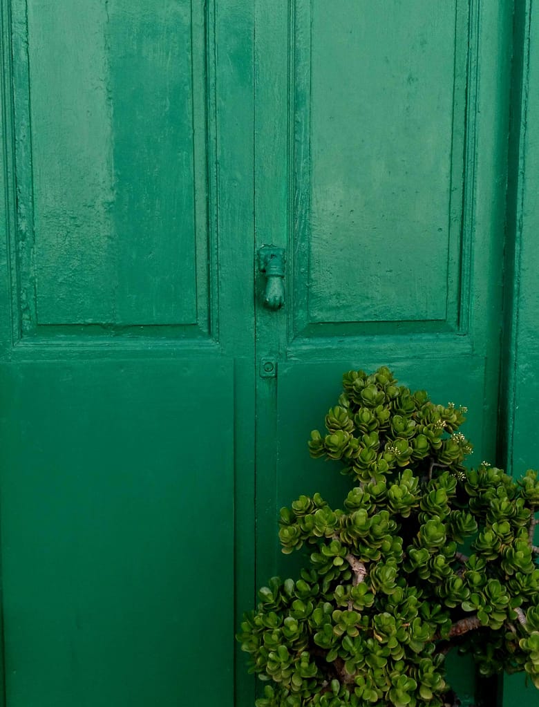 Porte vert-espoir
